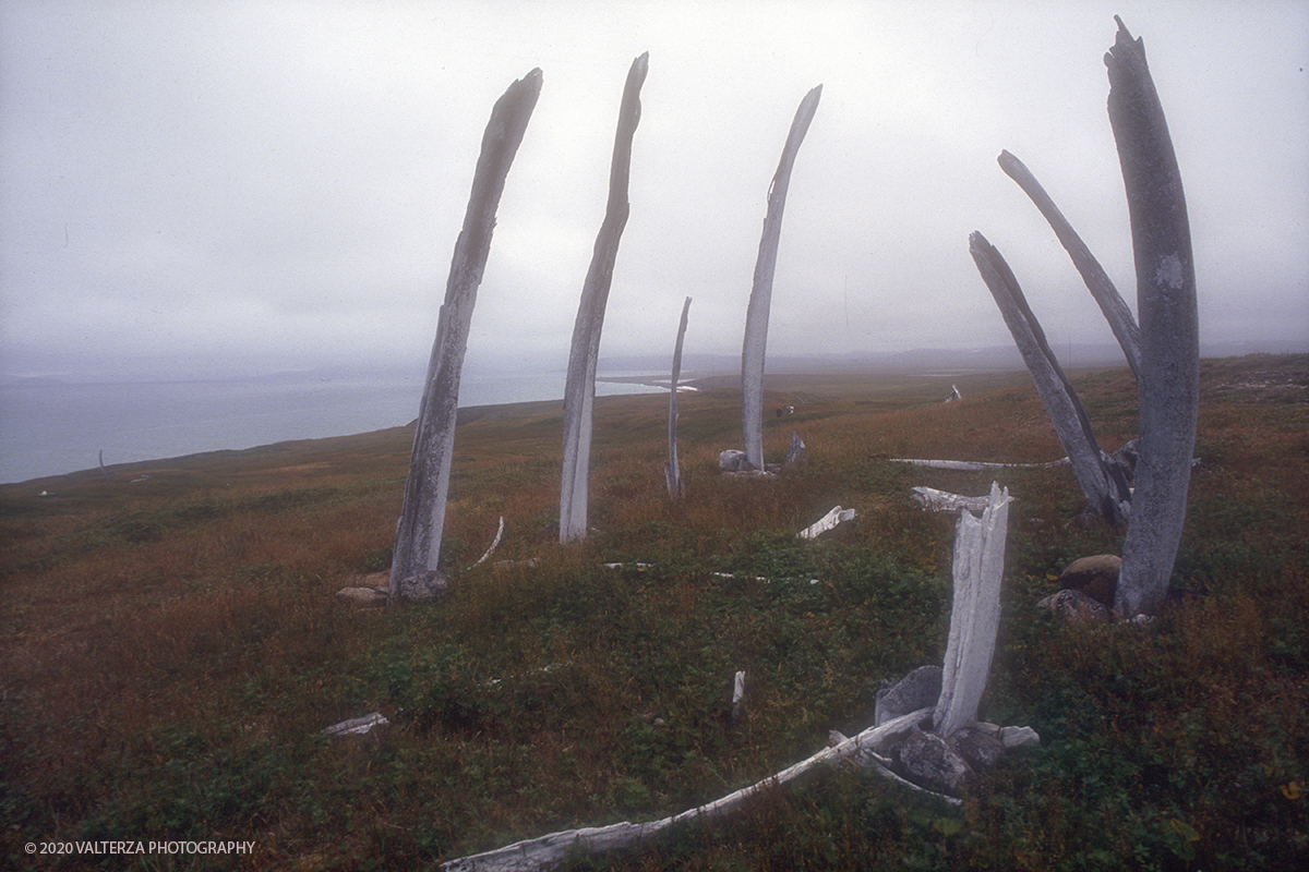 40 SIBERIA.jpg - Luglio/Agosto 1992. Siberia, terra dei Chukchi. Nell'oceano artico  125 Km a nord-est della penisola dei Chukchi (Siberia) c'Ã¨ l'isola di Wrangel, essa ospita piÃ¹ del doppio di specie vegetali (417) di qualsiasi territorio artico a paritÃ  di superficie nonchÃ¨ 30 specie diverse di uccelli oltre ad orsi polari, foche e trichechi ; per questo motivo   Ã¨ stata proclamata patrimonio dell'umanitÃ  dall'UNESCO. Nella foto isola di Arakamchechen, antica tomba nella tundra dell'isola le costole di balena poste in verticale son il simbolo tradizionale delle sepolture eschimo, antichi abitanti dell'isola prima dei Chukchi.